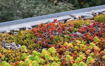 the cost of Oareford green roof installation
